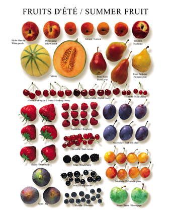 images fruta de verano 1 - Alimentos de temporada (frutas y verduras)
