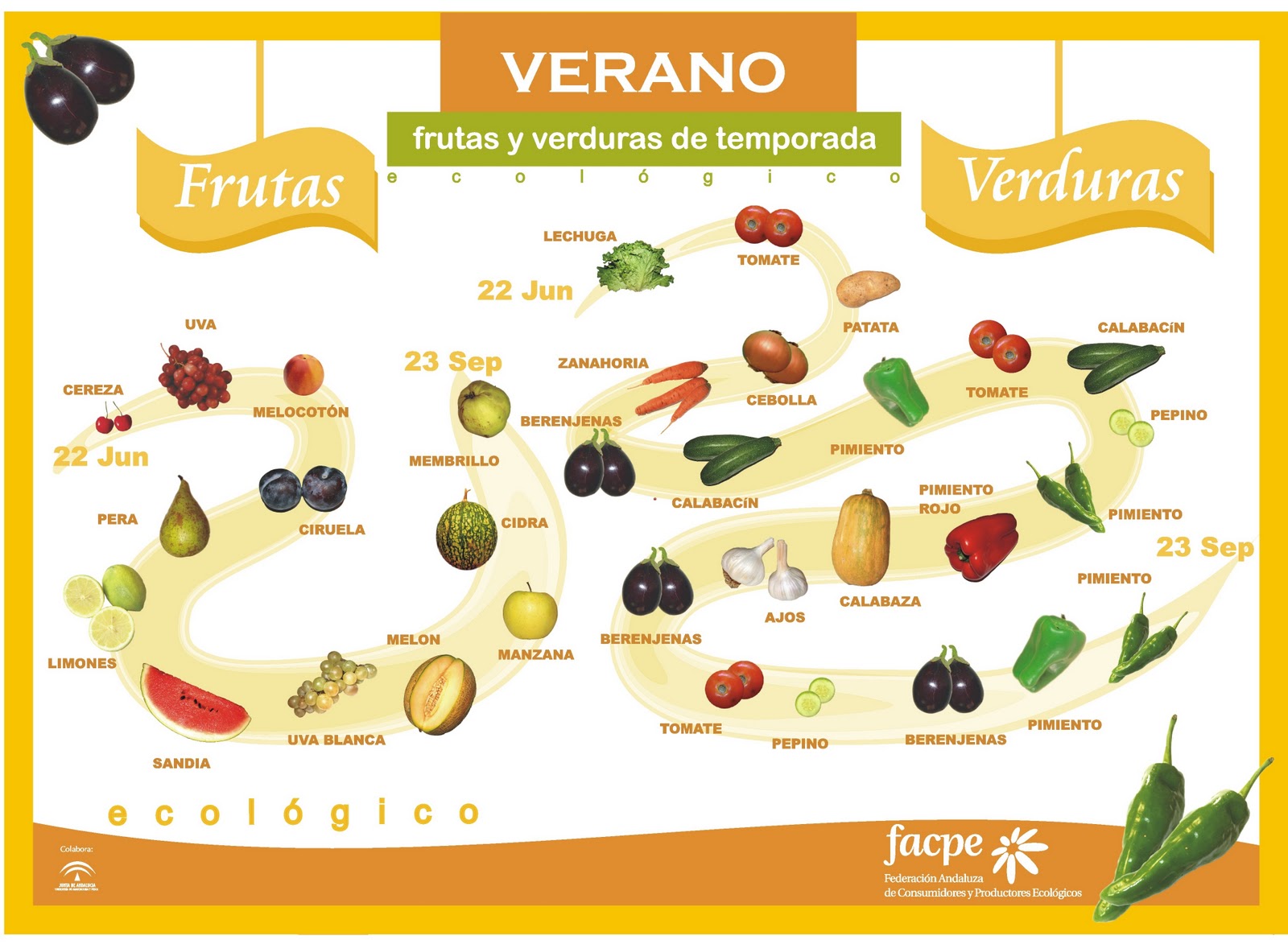 Frutas y Verduras Verano1