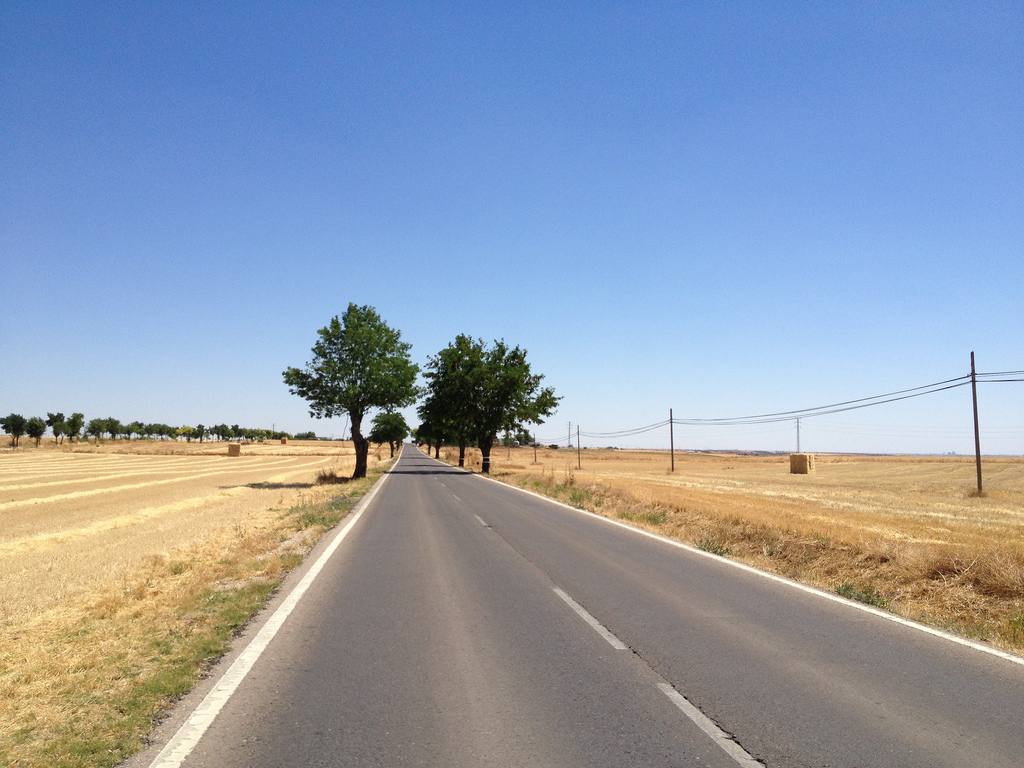 Mejores en carretera 2